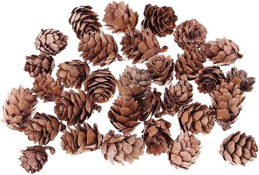 MINI PINE CONES